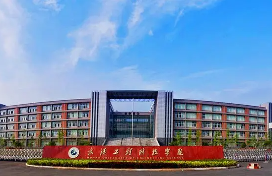 武汉工程科技学院